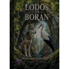 Lodos İle Boran
