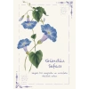 Gündüz Sefası / Kartpostal