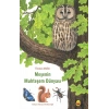 Meşenin Muhteşem Dünyası