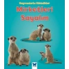 Mirketleri Sayalım
