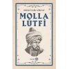 Molla Lütfi
