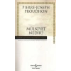 Mülkiyet Nedir?