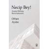 Necip Bey!