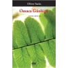 Oaxaca Günlüğü