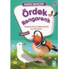 Ördek Rengarenk - Hadis Bahçesi 8