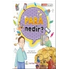 Para Nedir?