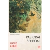 Pastoral Senfoni
