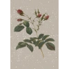 Çiçek - 1 / Kartpostal