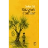 Rüzgarlı  Camlar