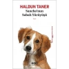 Sancho’nun Sabah Yürüyüşü