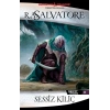 Sessiz Kılıç - Drizzt Efsanesi 11. Kitap