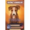Sevimli Konuklar-5 Fındık