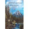 Şeytan Şatosu