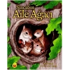 Sincabın Aile Ağacı