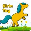 Şirin Tay
