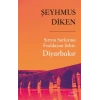 Sırrını Surlarına Fısıldayan Şehir: Diyarbakır