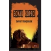 Sokak Köpeği