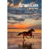 Söz Mısraların