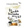Şu Anda Burada mıyız?