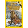 Tarih Öncesi Memeliler Seviye 2