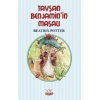 Tavşan Benjamin’in Masalı