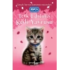 Terk Edilmiş Kedi Yavrusu