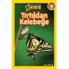 Tırtıldan Kelebeğe