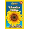 Tohumdan Bitkiye