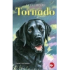Tornado