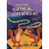 Uçurtma mı, Uzay Gemisi mi?