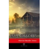 Uncle Toms Cabin
