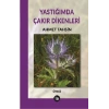 Yastığımda Çakır Dikenleri