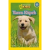 Yavru Köpek