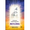 Zindandan Göklere Açılan Kapı Mevlana