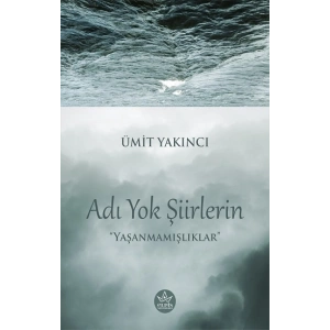 Adı Yok Şiirlerin