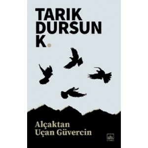 Alçaktan Uçan Güvercin
