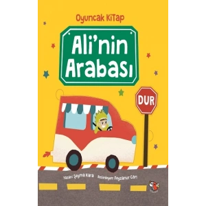 Alinin Arabası