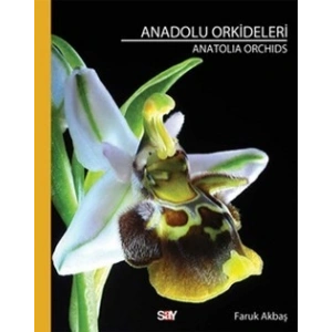 Anadolu Orkideleri