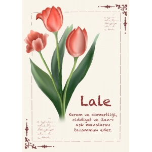 Lale / Kartpostal