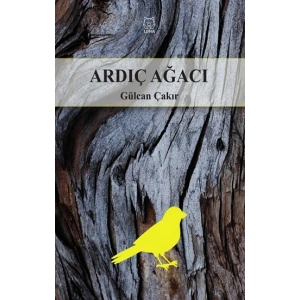 Ardıç Ağacı