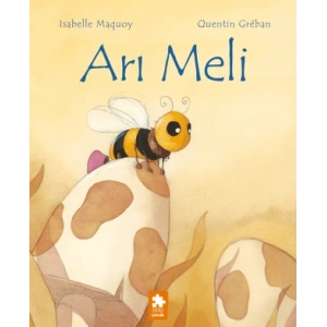 Arı Meli