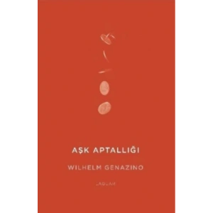 Aşk Aptallığı