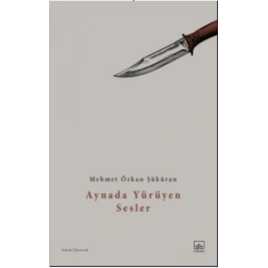 Aynada Yürüyen Sesler