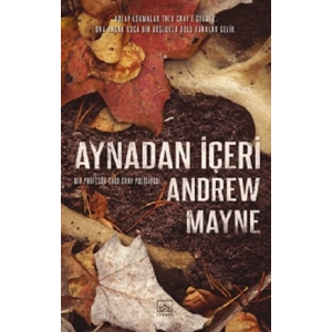 Aynadan İçeri