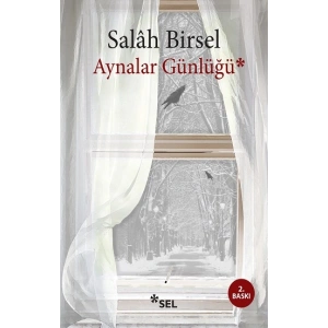 Aynalar Günlüğü