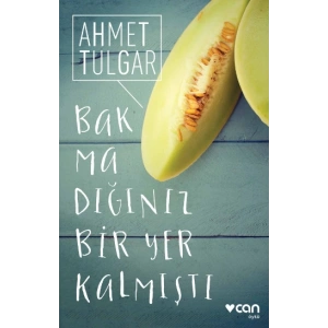Bakmadığınız Bir Yer Kalmıştı