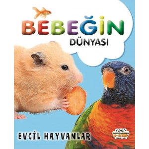 Bebeğin Dünyası - Evcil Hayvanlar (Sıvama Cilt)