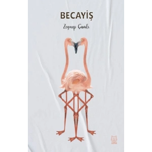 Becayiş