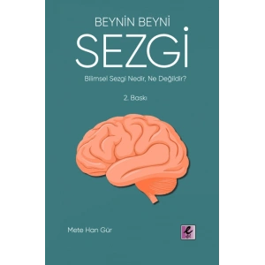 Beynin Beyni Sezgi