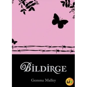 Bildirge